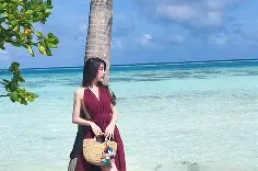 220场直播 百万次观看